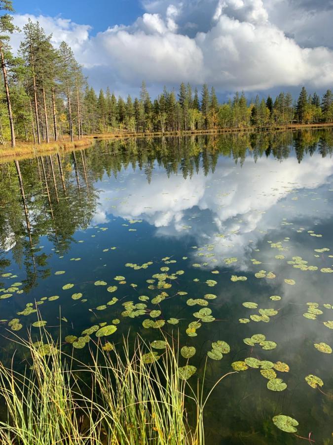 Off-Grid Cabin In Nattavaara Lapland Exterior foto