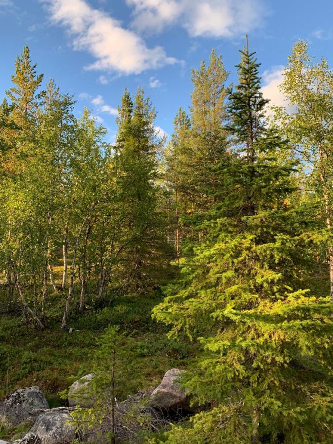 Off-Grid Cabin In Nattavaara Lapland Exterior foto